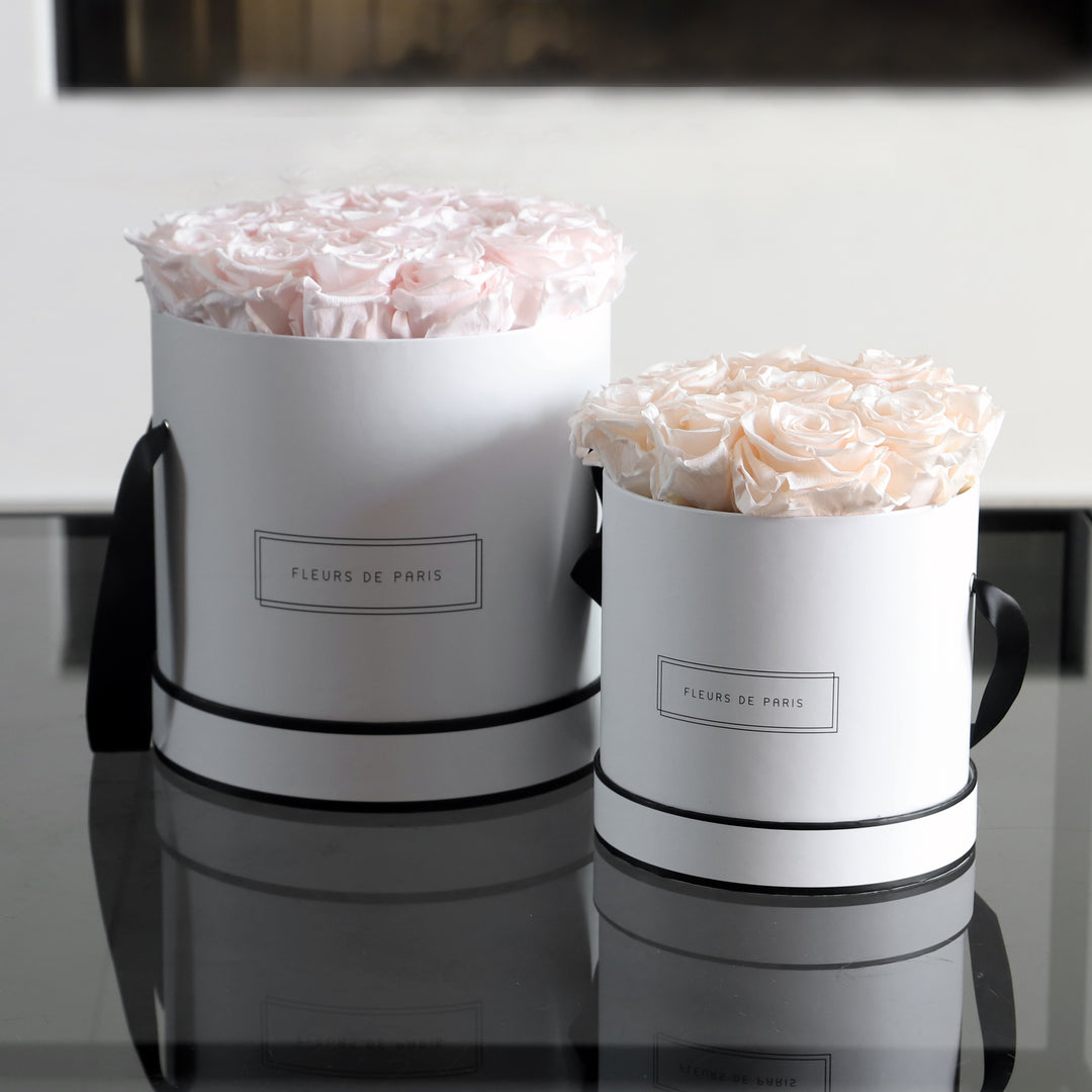 Infinity Collection FLEURS DE PARIS