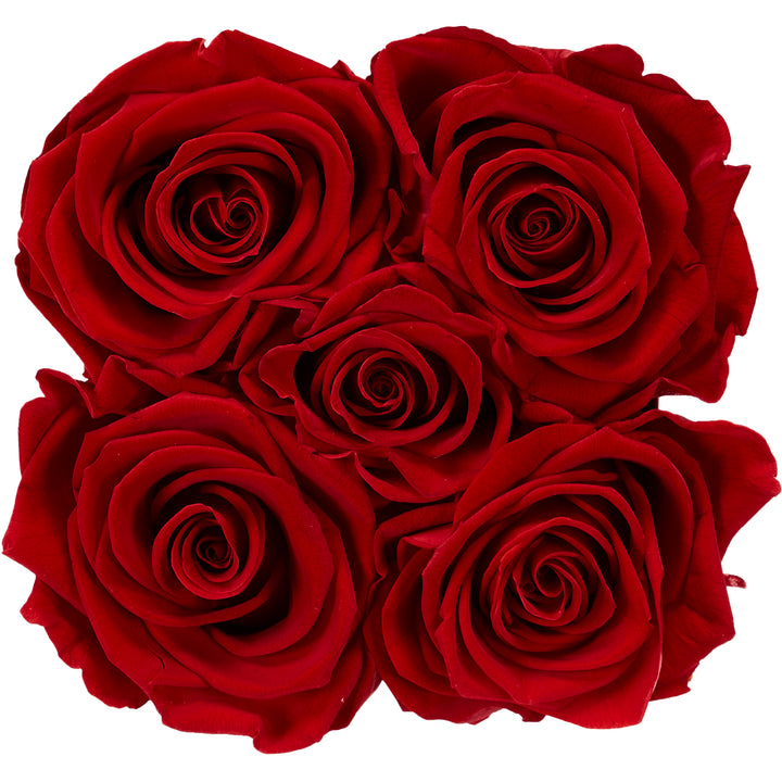 Infinity Collection FLEURS DE PARIS