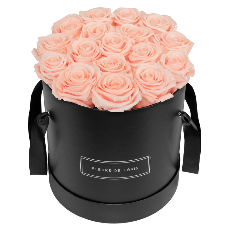 Infinity Collection FLEURS DE PARIS