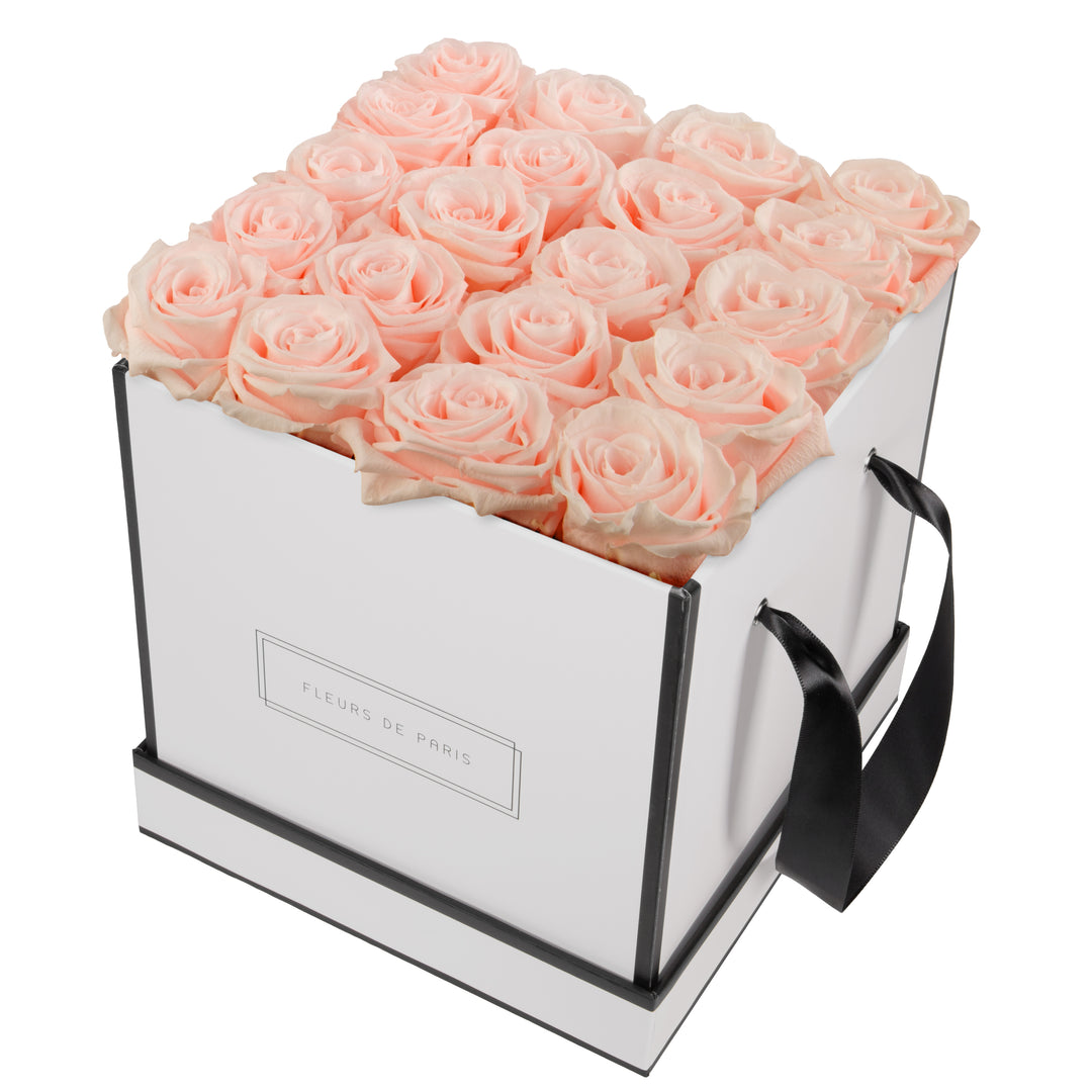 Infinity Collection FLEURS DE PARIS
