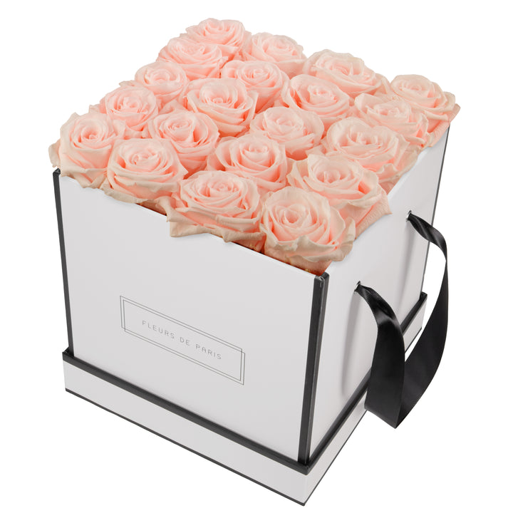 Infinity Collection FLEURS DE PARIS