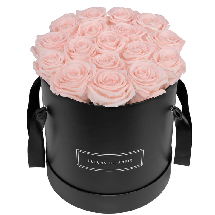 Infinity Collection FLEURS DE PARIS