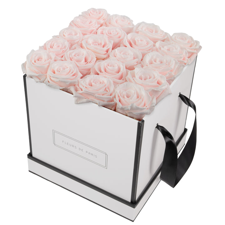 Infinity Collection FLEURS DE PARIS