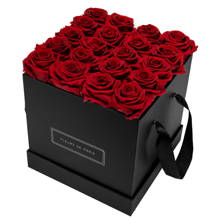 Infinity Collection FLEURS DE PARIS