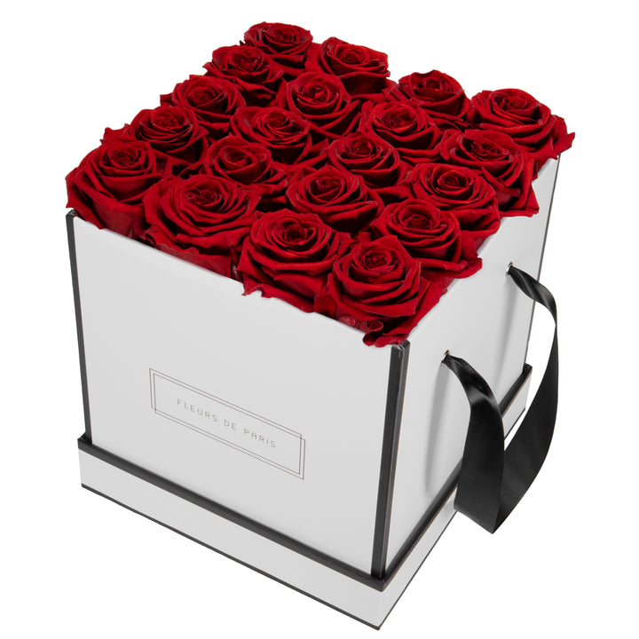 Infinity Collection FLEURS DE PARIS
