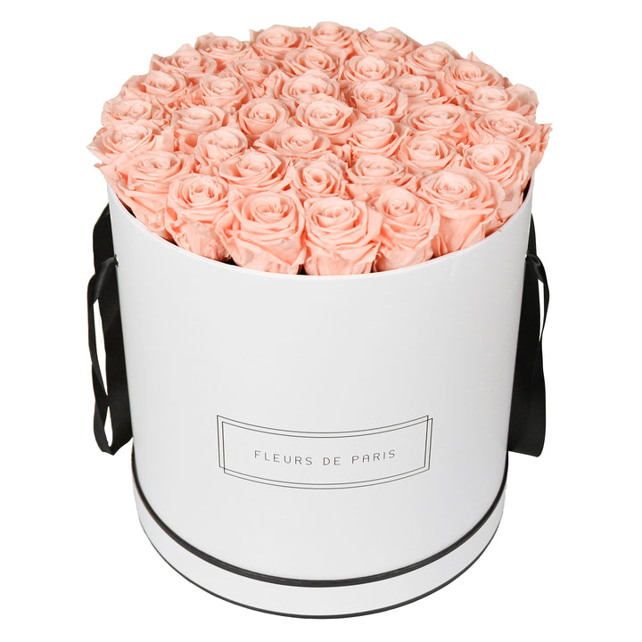 Infinity Collection FLEURS DE PARIS