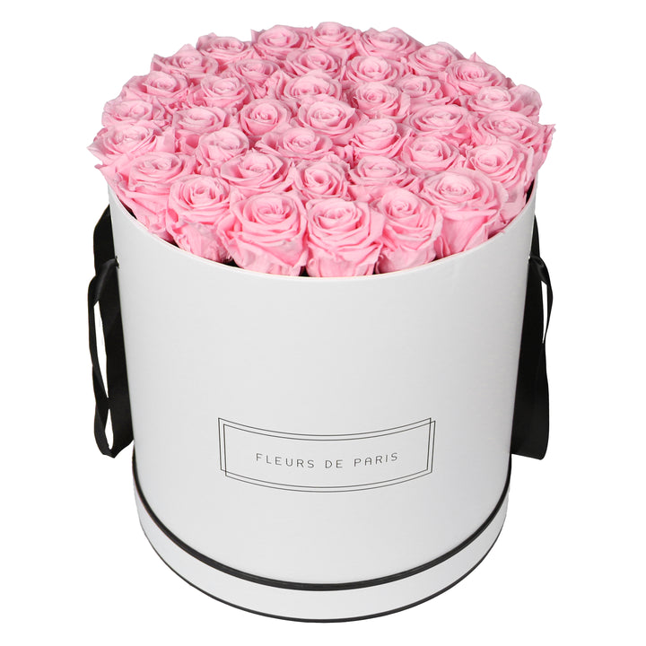 Infinity Collection FLEURS DE PARIS