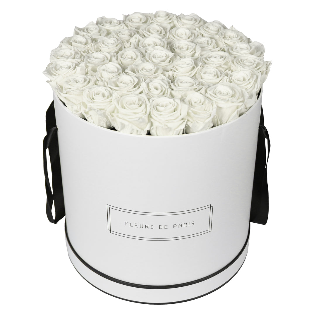 Infinity Collection FLEURS DE PARIS