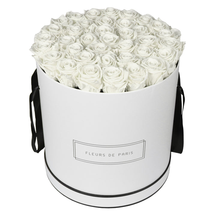 Infinity Collection FLEURS DE PARIS