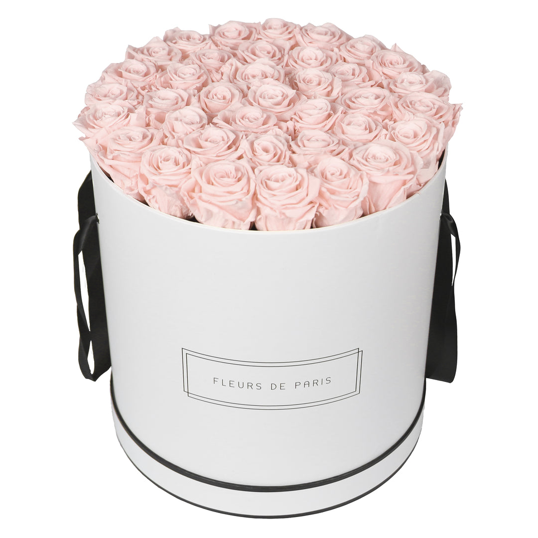 Infinity Collection FLEURS DE PARIS