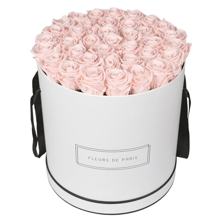 Infinity Collection FLEURS DE PARIS