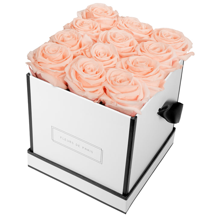 Infinity Collection FLEURS DE PARIS