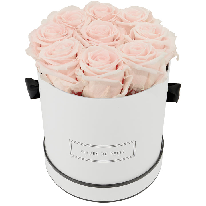 Infinity Collection FLEURS DE PARIS