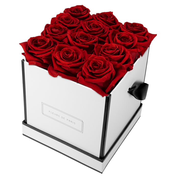 Infinity Collection FLEURS DE PARIS
