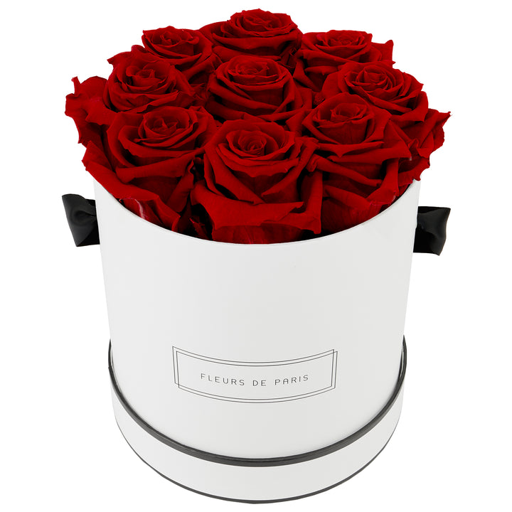 Infinity Collection FLEURS DE PARIS