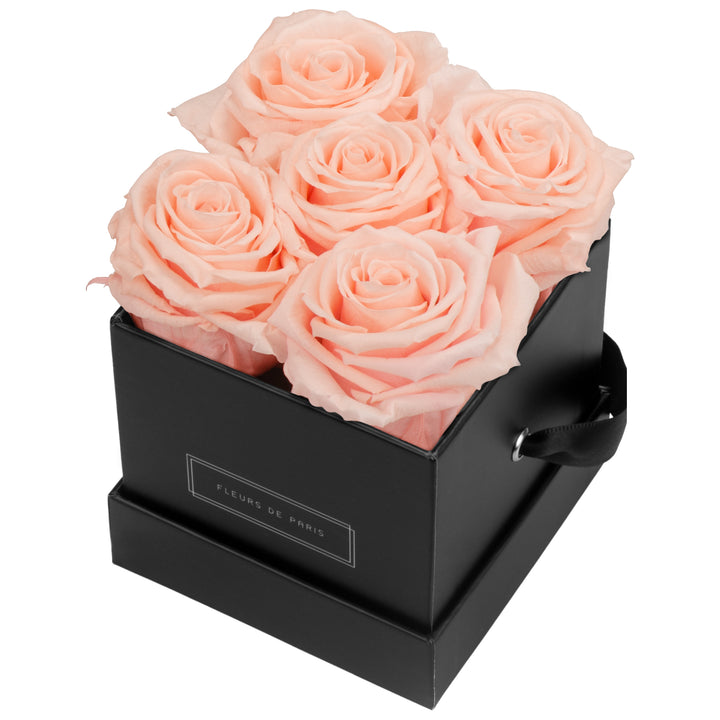 Infinity Collection FLEURS DE PARIS