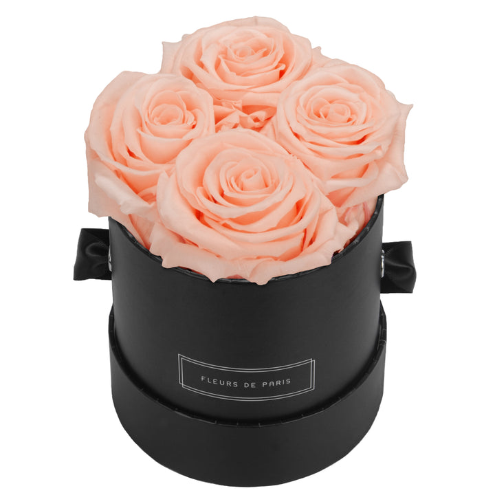 Infinity Collection FLEURS DE PARIS