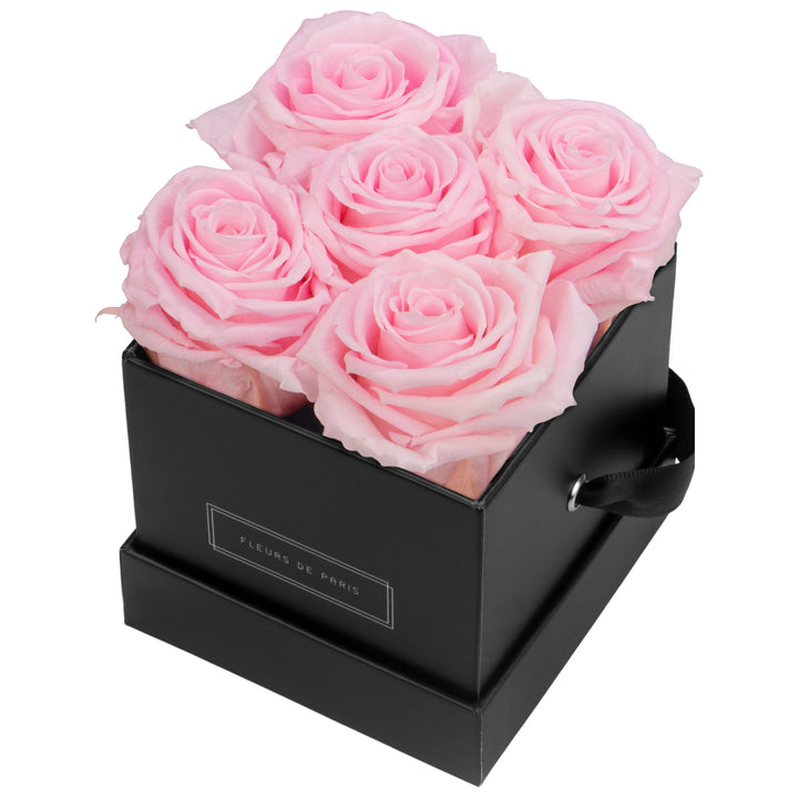 Infinity Collection FLEURS DE PARIS