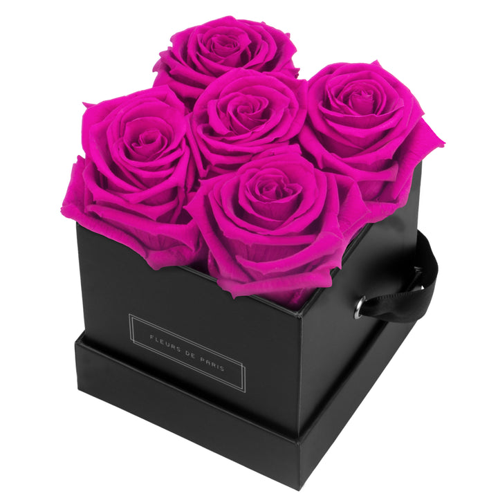 Infinity Collection FLEURS DE PARIS