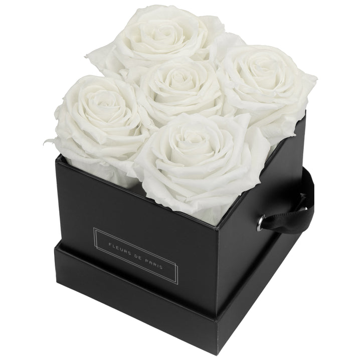 Infinity Collection FLEURS DE PARIS