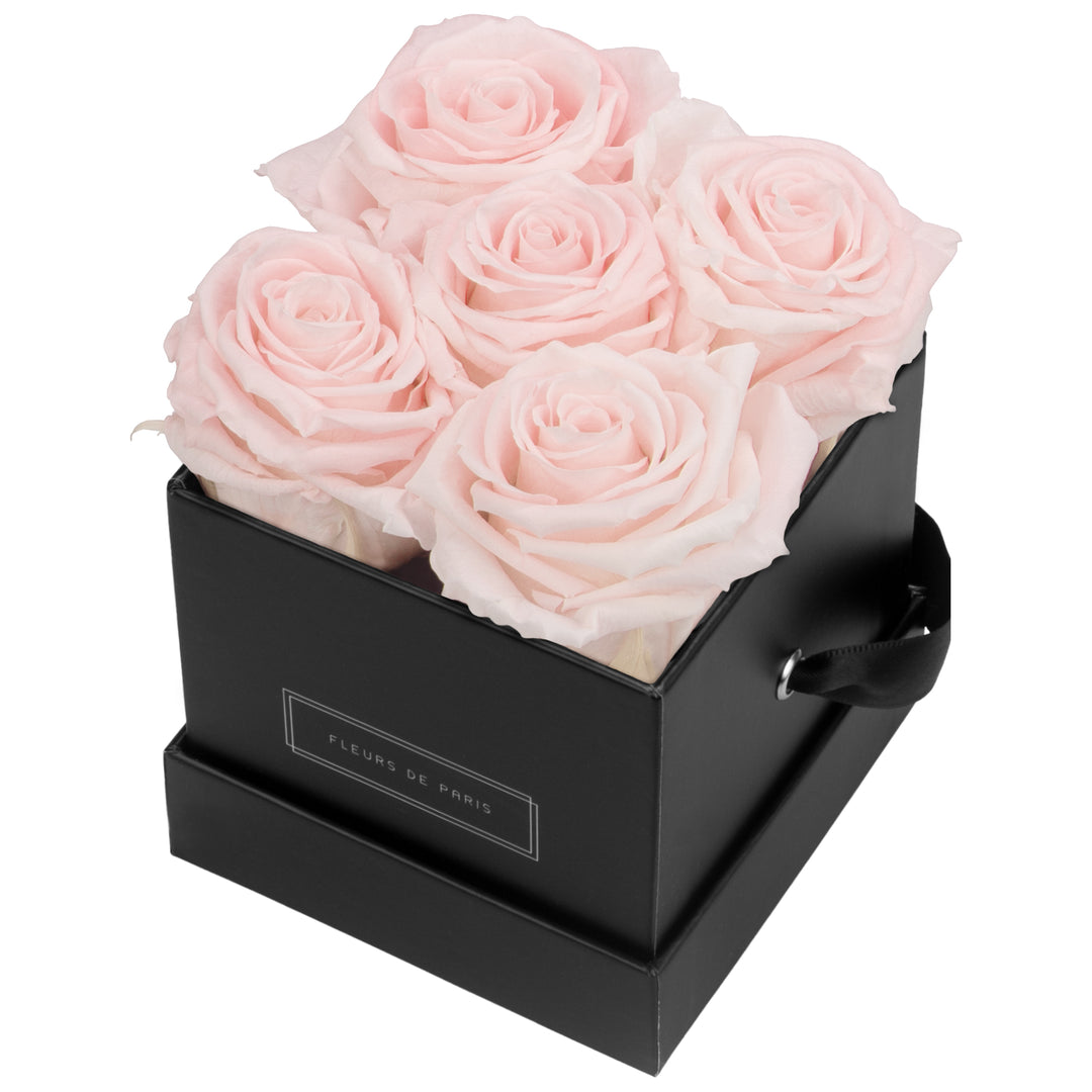 Infinity Collection FLEURS DE PARIS
