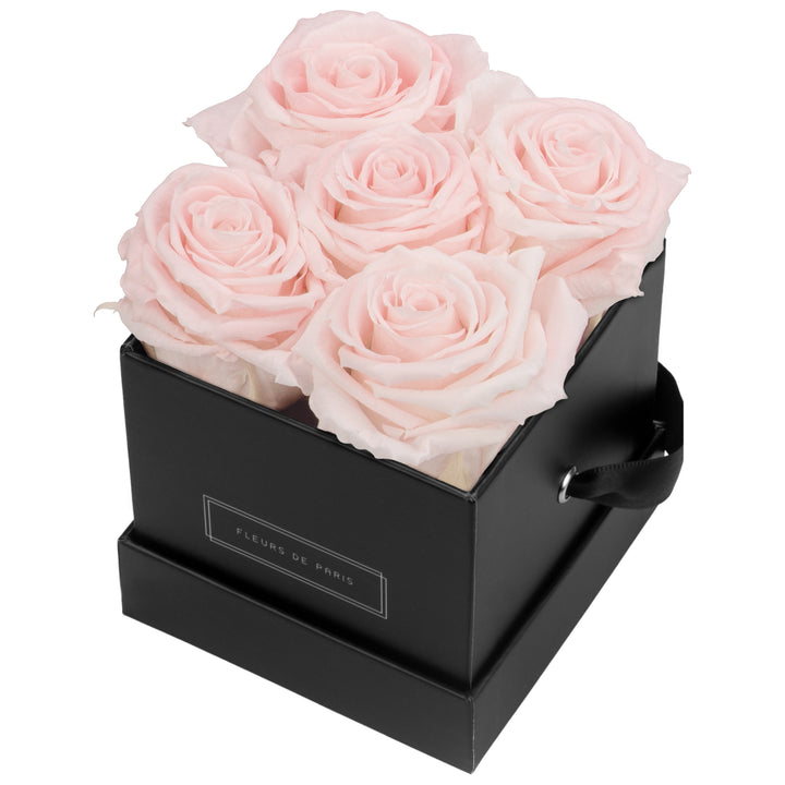 Infinity Collection FLEURS DE PARIS