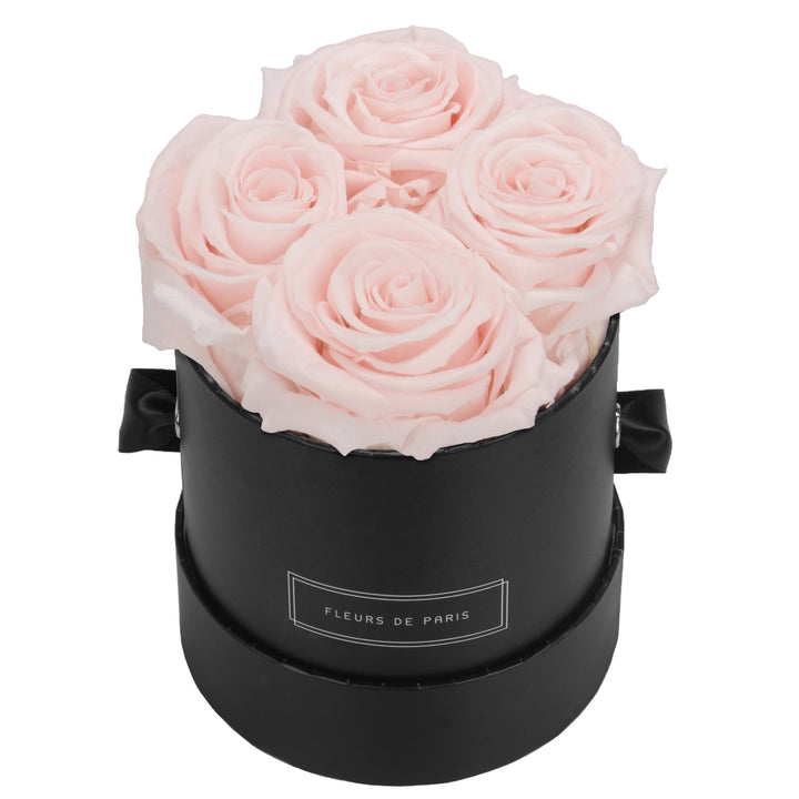 Infinity Collection FLEURS DE PARIS
