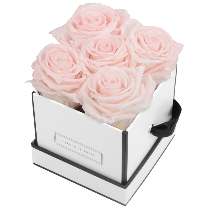 Infinity Collection FLEURS DE PARIS