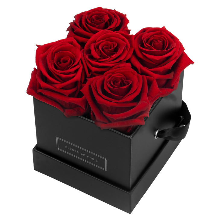Infinity Collection FLEURS DE PARIS