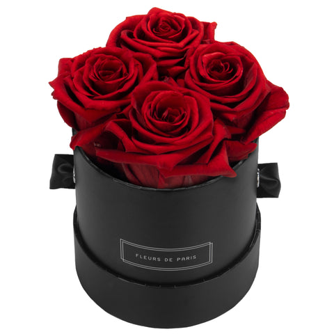 Small / Negro - Redondo / Royal Red