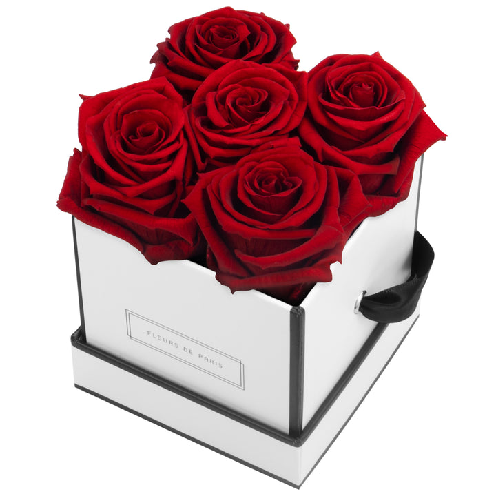 Infinity Collection FLEURS DE PARIS